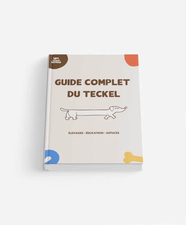 <p>Notre guide VS Internet</p>