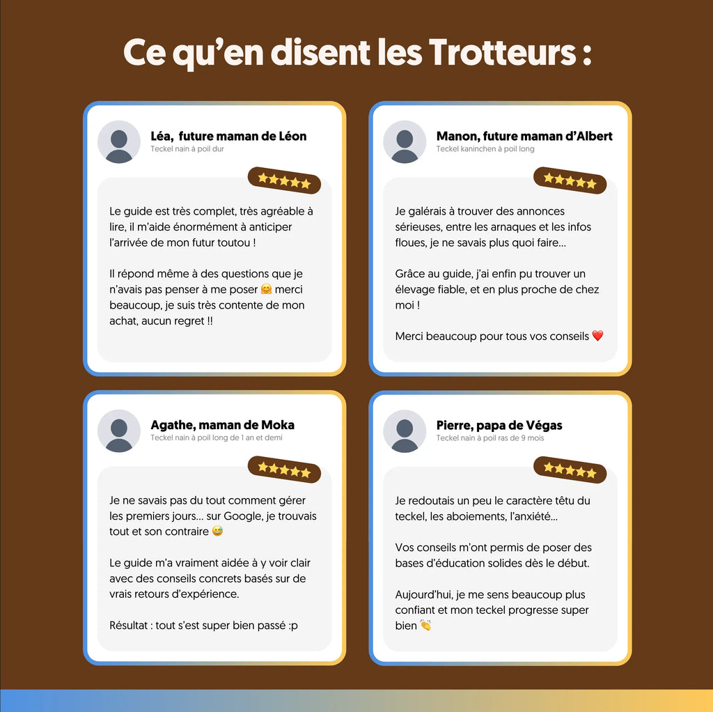 Guide Complet du Teckel⎜Format Numérique