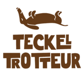 Teckel Trotteur
